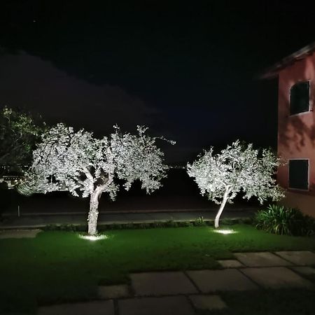 Nice Apartments Lake View & Free Parking Pastrengo Exterior foto